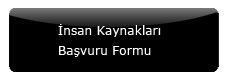İnsan Kaynakları Başvuru Formu